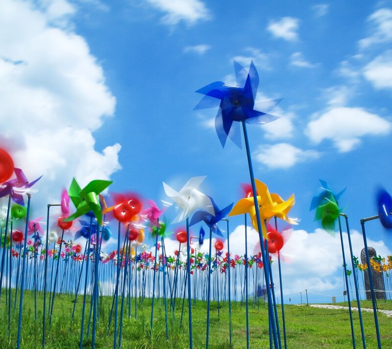 Colorful Pinwheels on Hill