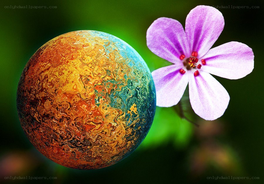 Colorful planet and purple flower