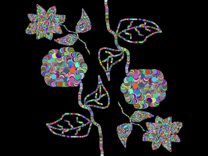 Colorful Plant Illustration