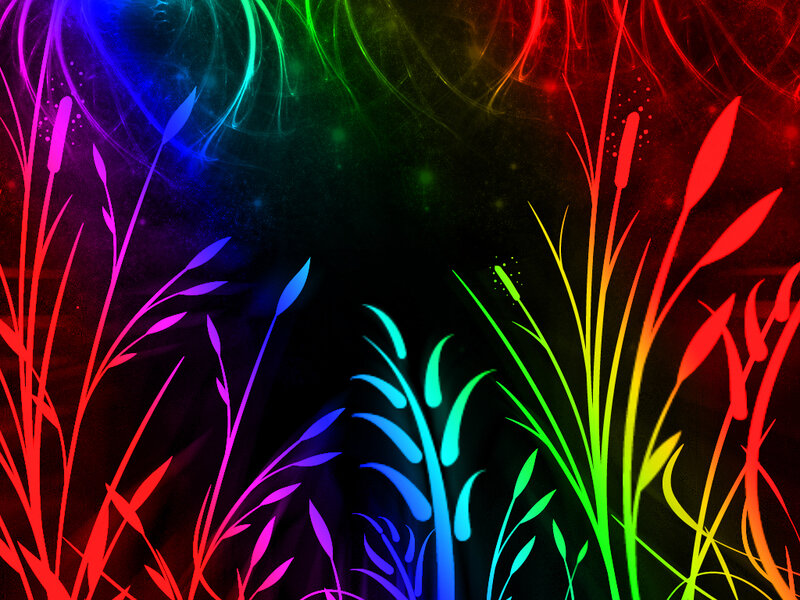 Colorful Plant Silhouettes