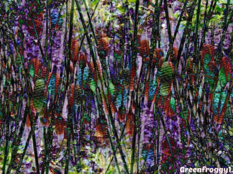Colorful Plant Stalks