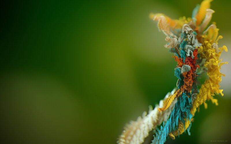 Colorful Plant Structure — Green, Serene, Photograph