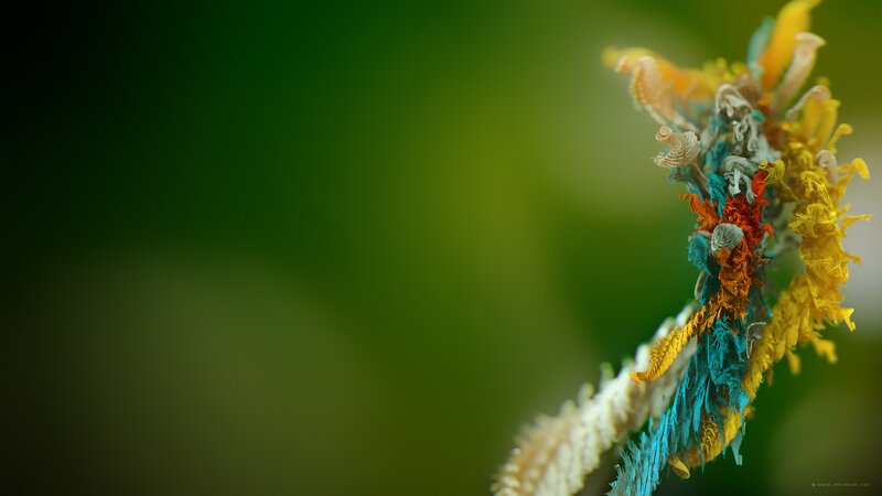 Colorful Plant Structure — Green, Serene
