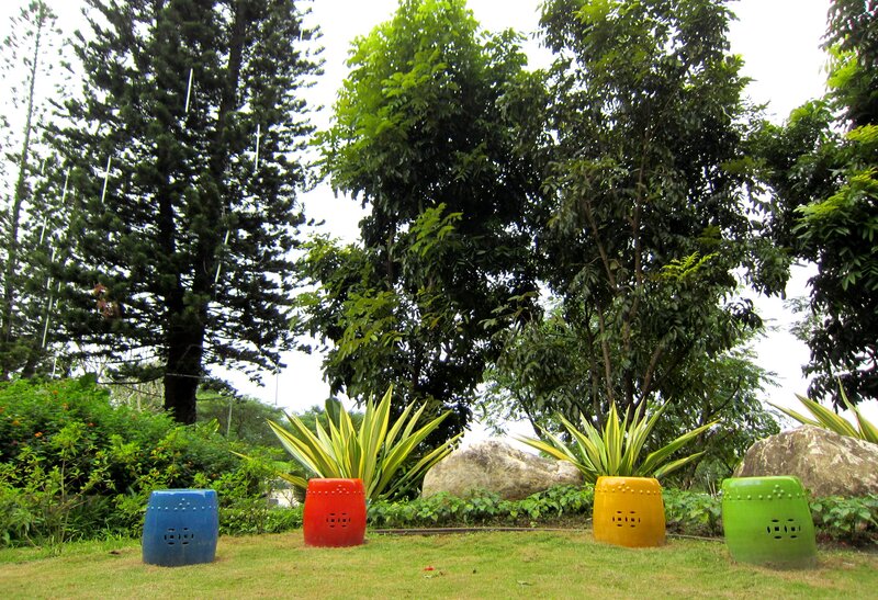 Colorful Planters in Garden