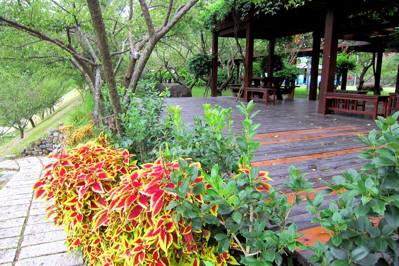Colorful Plants and Wooden Deck