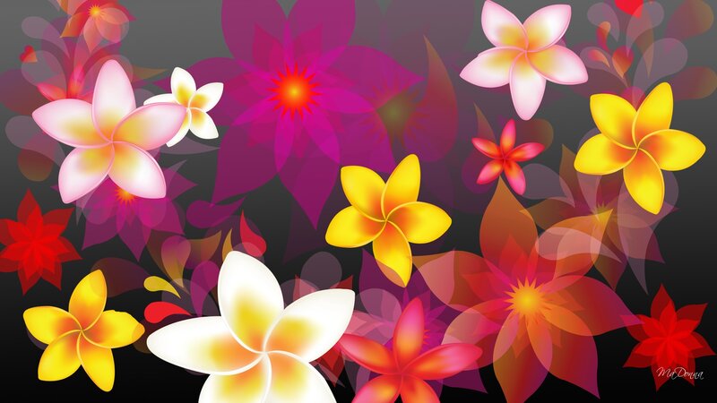 Colorful Plumeria Flowers — Purple