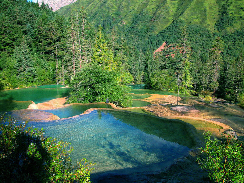 Colorful pools in a forest valley