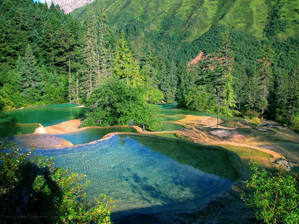 Colorful pools in a forest valley