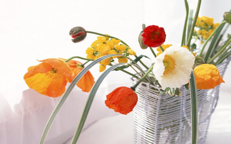 Colorful Poppy Bouquet — White