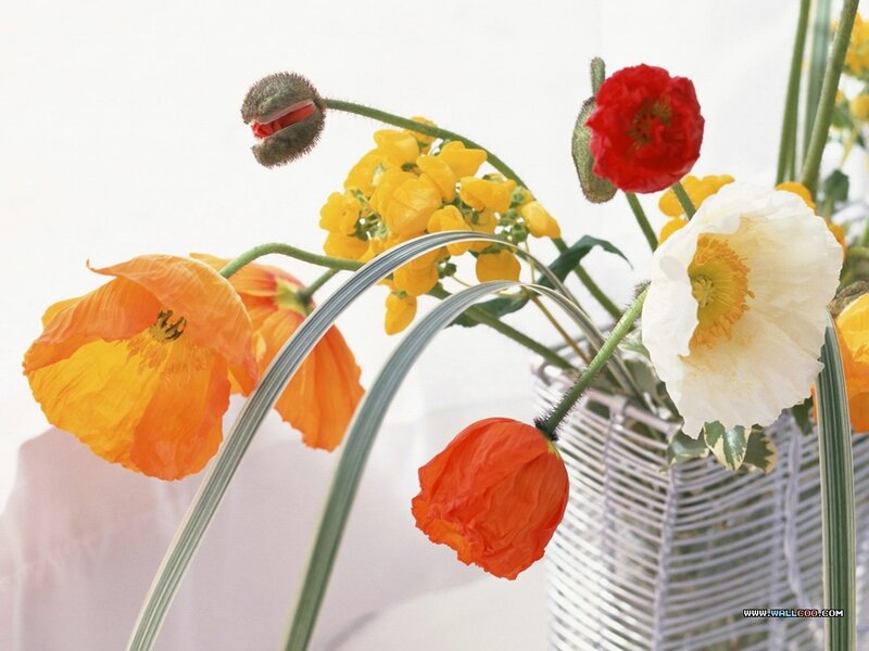 Colorful Poppy Bouquet — Yellow