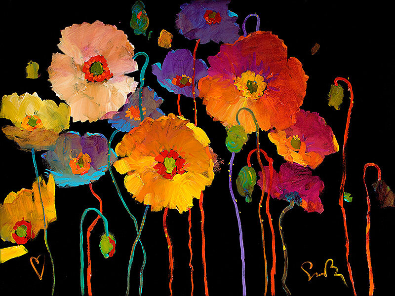 Colorful Poppy Flowers — Black