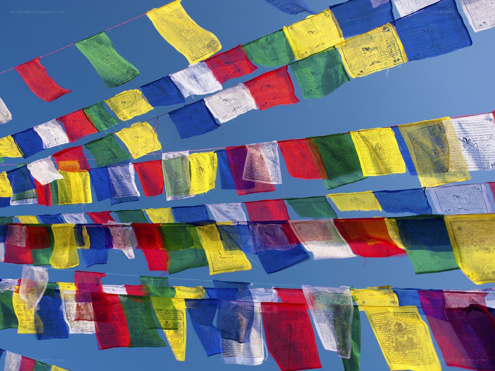 Colorful prayer flags in the sky