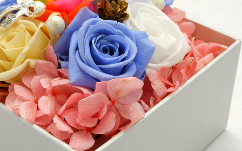 Colorful Preserved Flowers