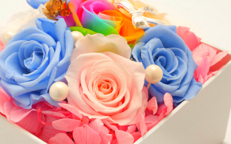 Colorful Preserved Roses — Blue