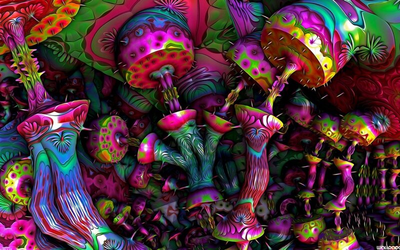 Colorful Psychedelic Mushrooms