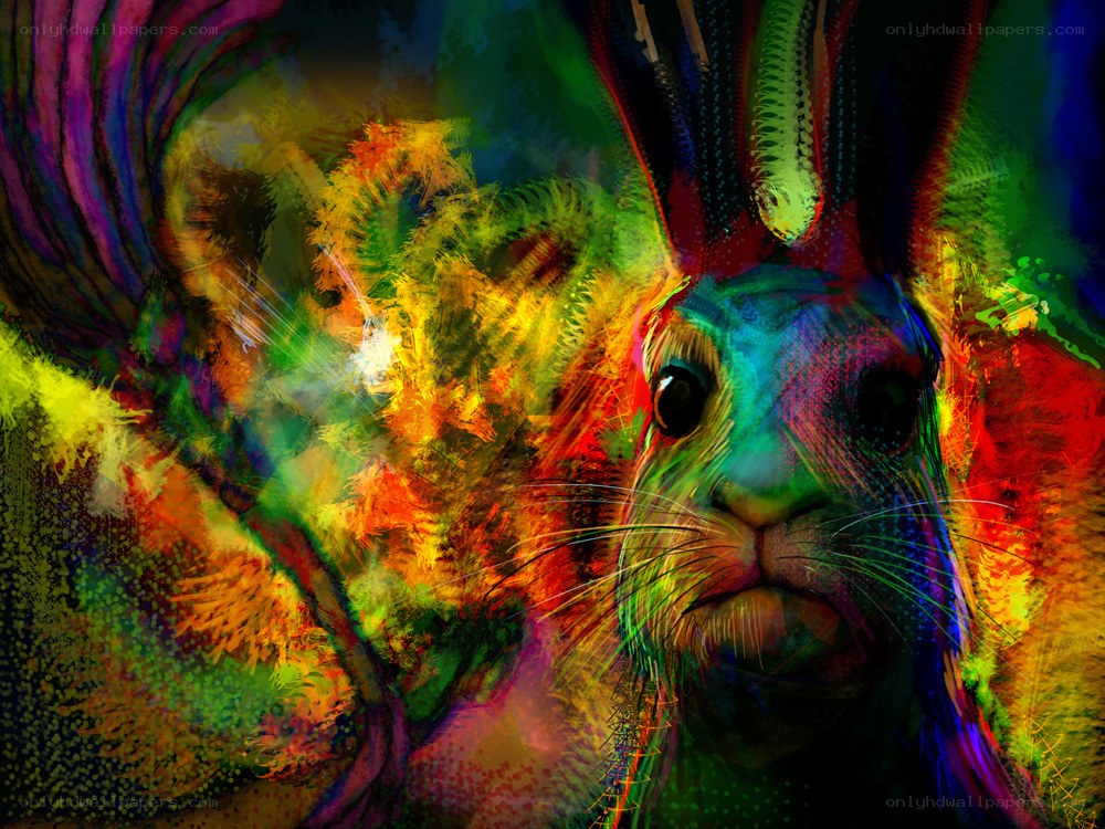 colorful rabbit abstract art
