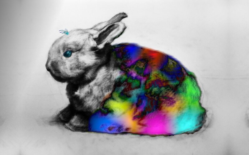 colorful rabbit drawing