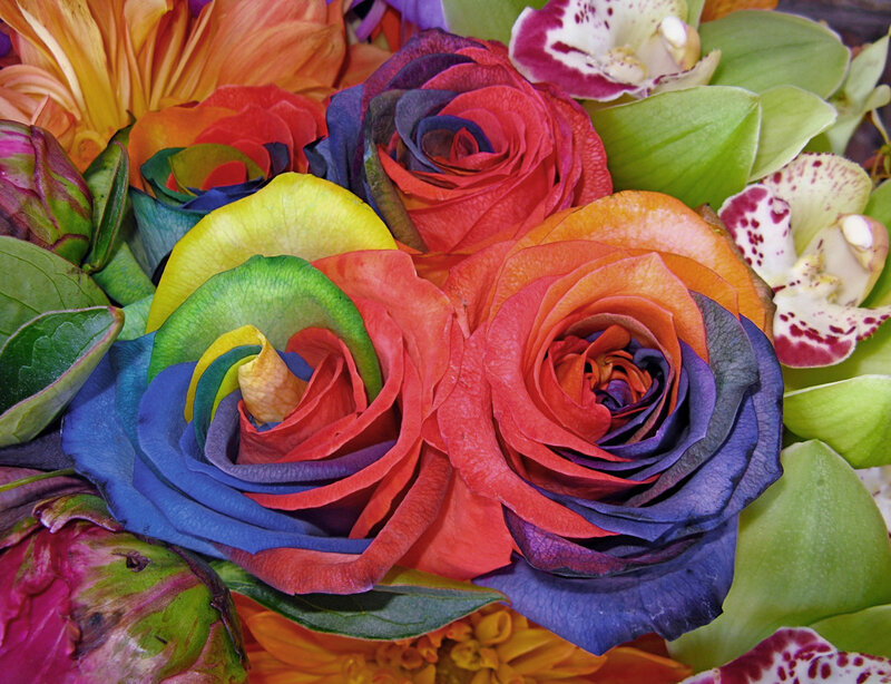 Colorful rainbow roses and orchids