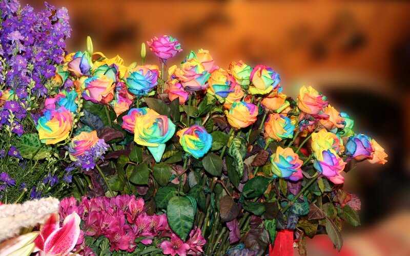 Colorful rainbow roses bouquet