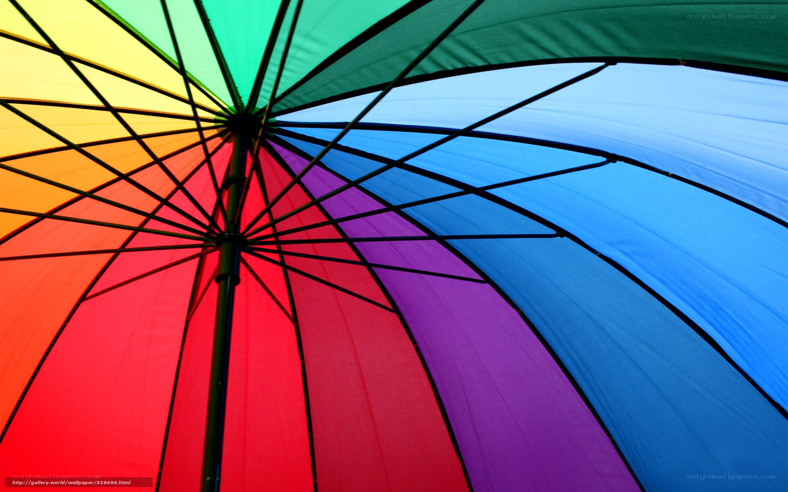 Colorful rainbow umbrella interior