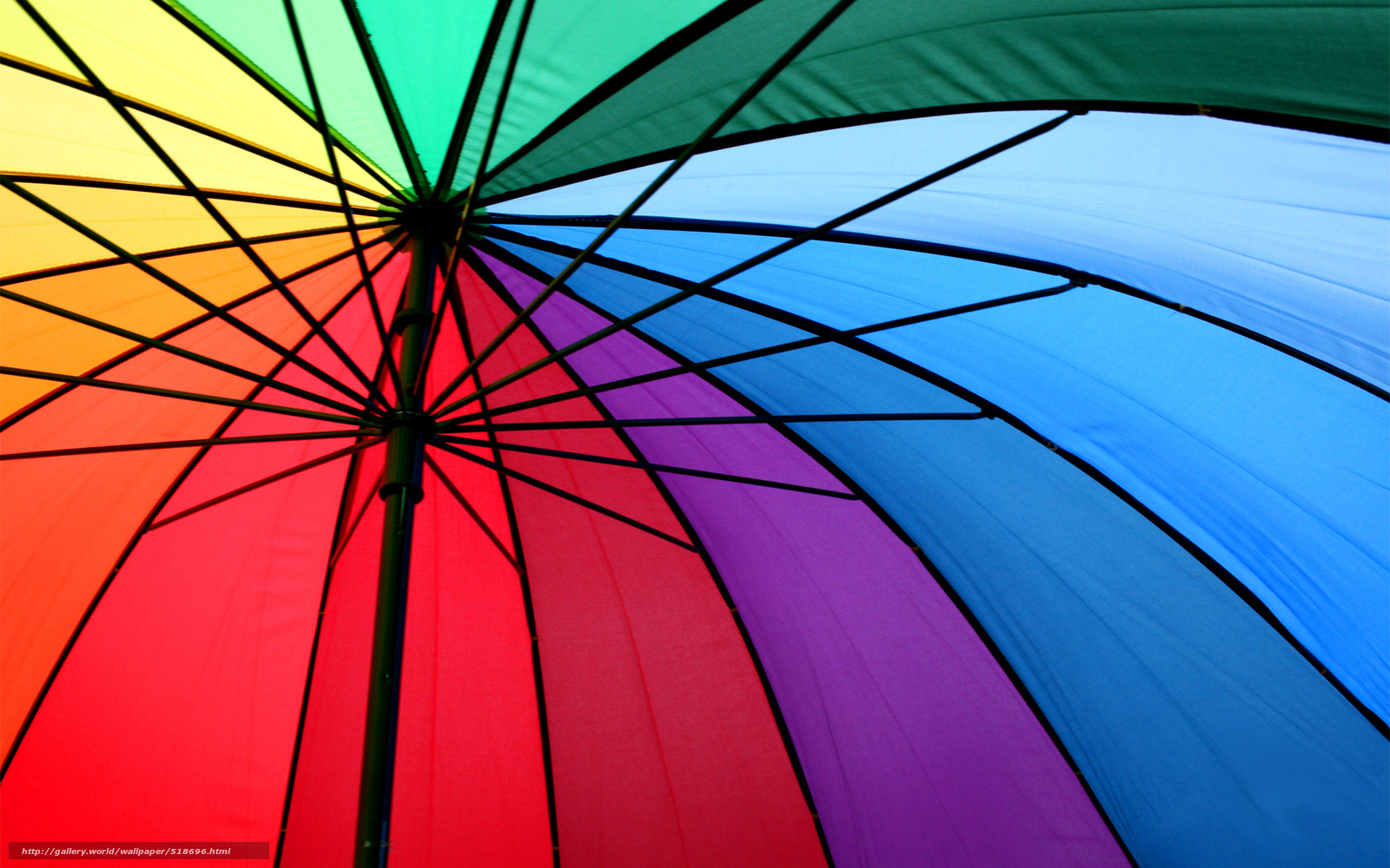 Colorful rainbow umbrella interior