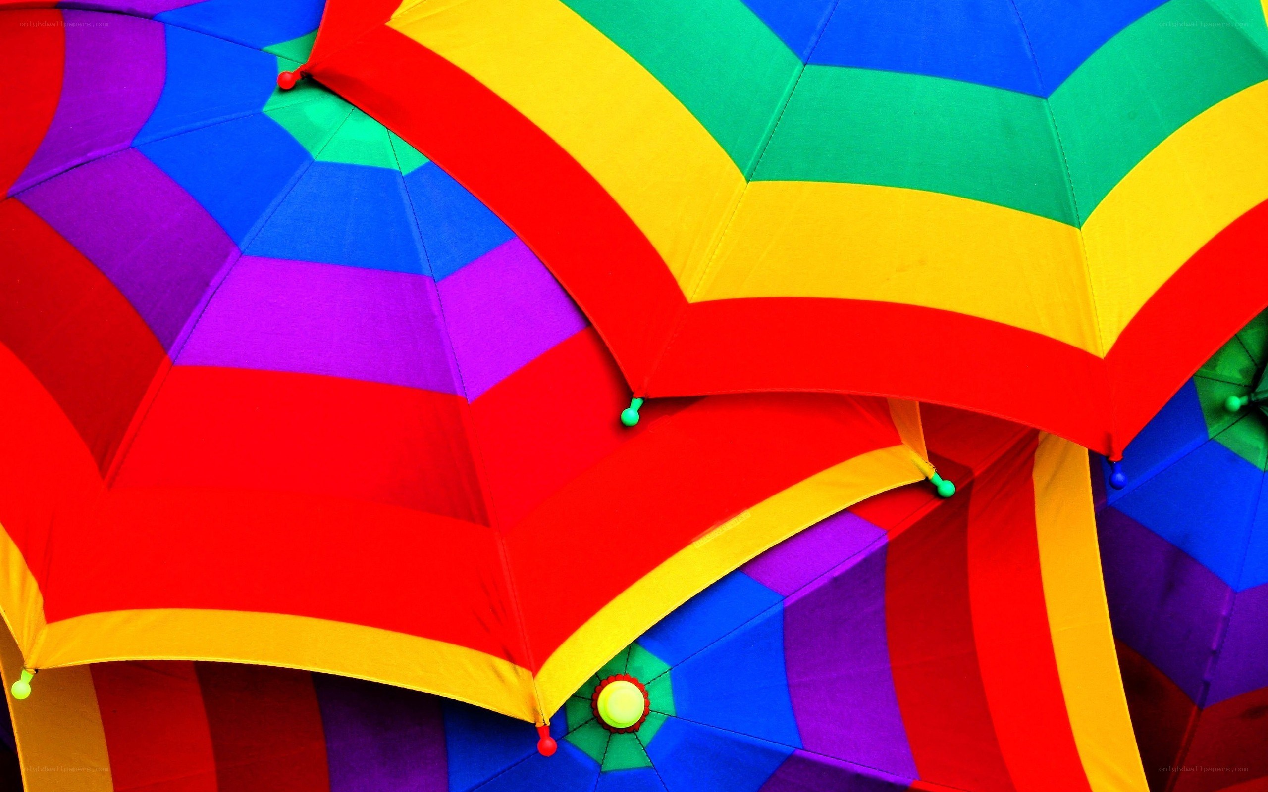 Colorful rainbow umbrellas