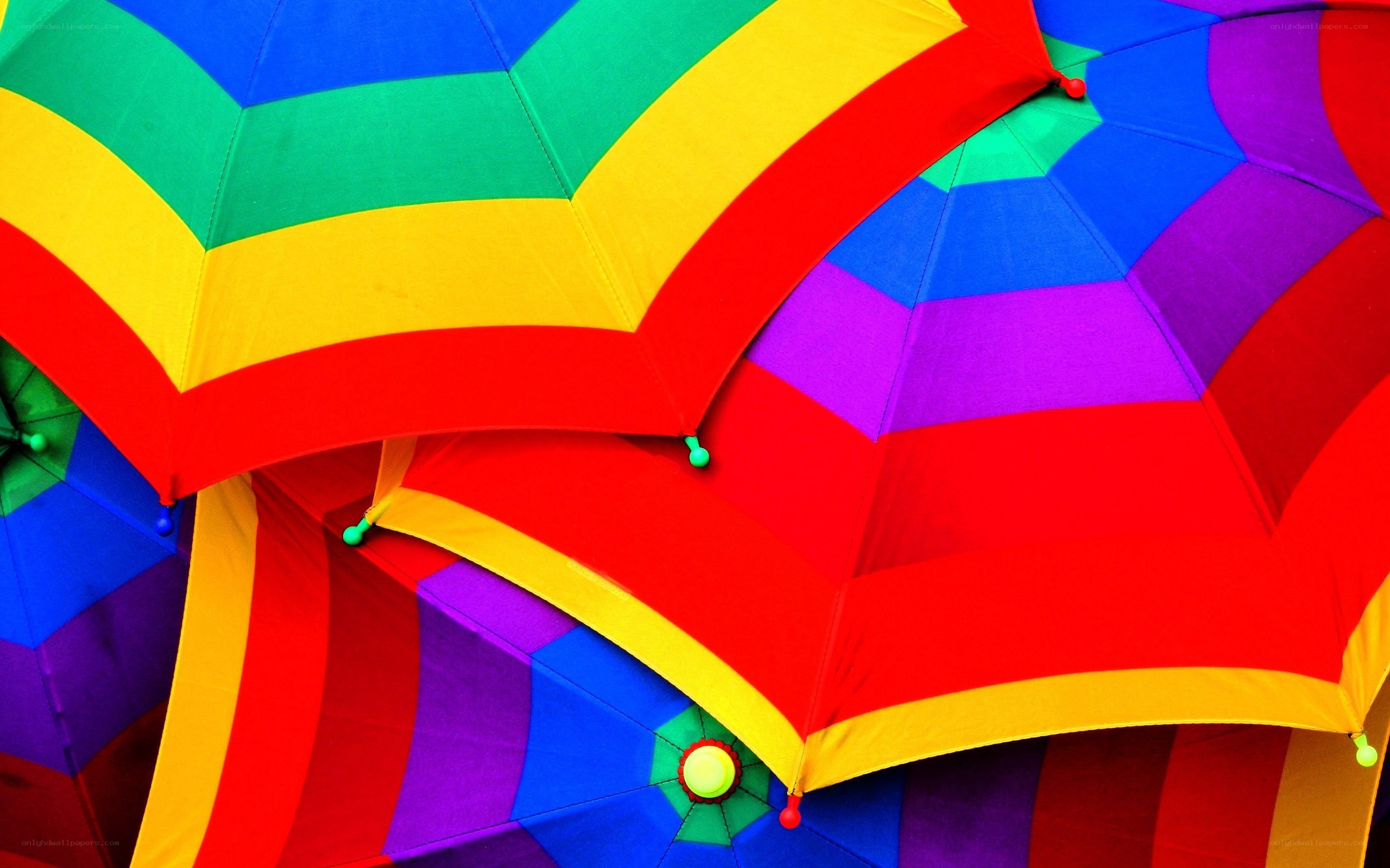 Colorful rainbow umbrellas