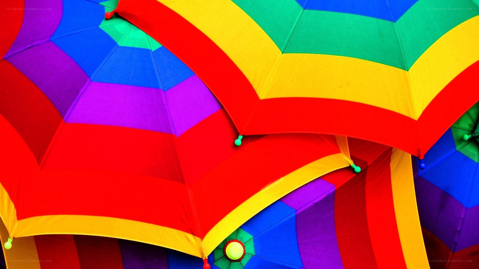 Colorful rainbow umbrellas
