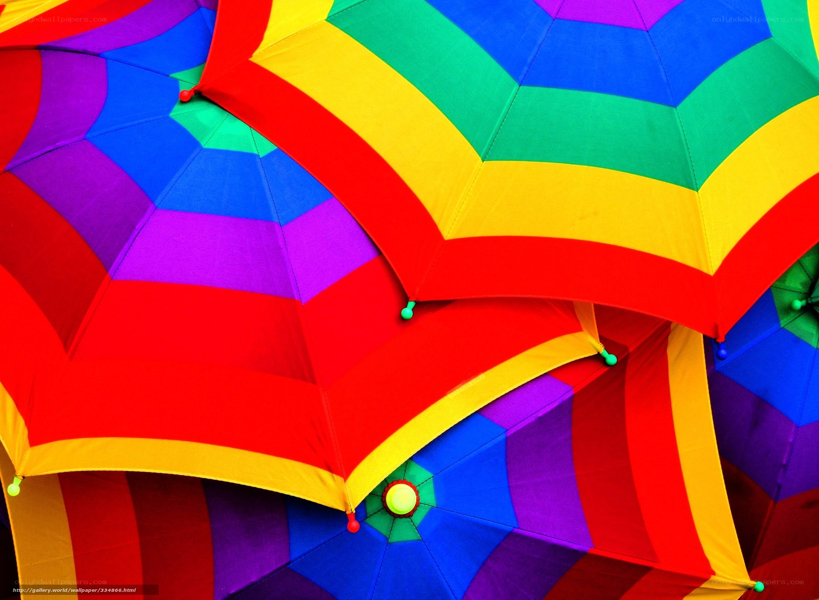 Colorful rainbow umbrellas