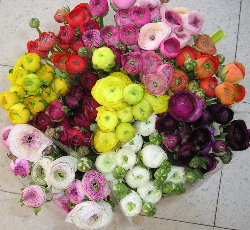 Colorful Ranunculus Bouquet — Yellow