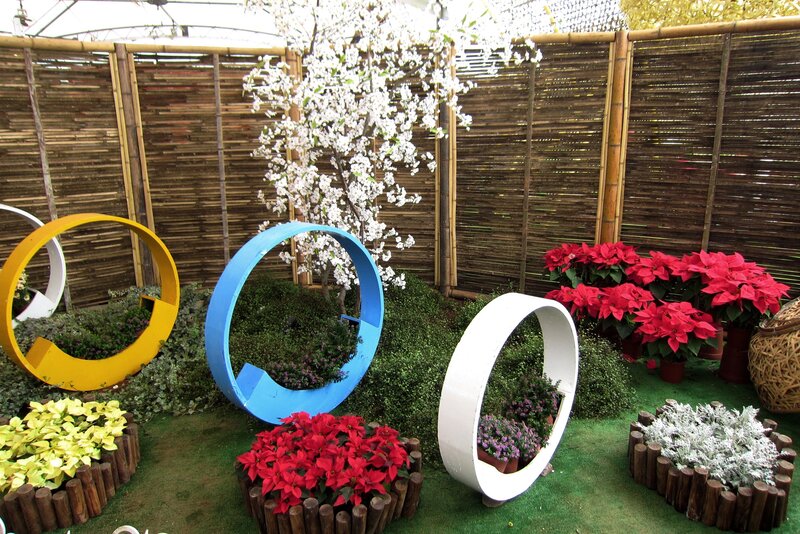 Colorful Rings in Garden