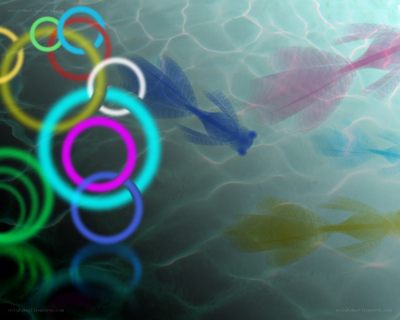 Colorful rings in water