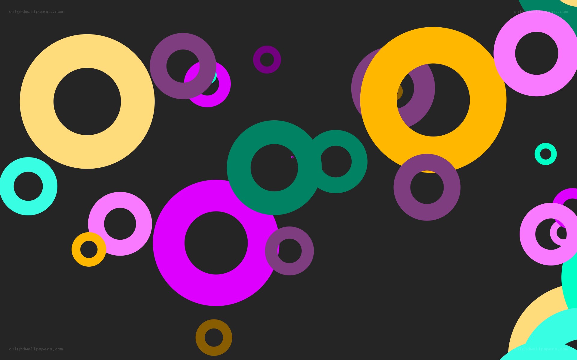 colorful rings on dark background