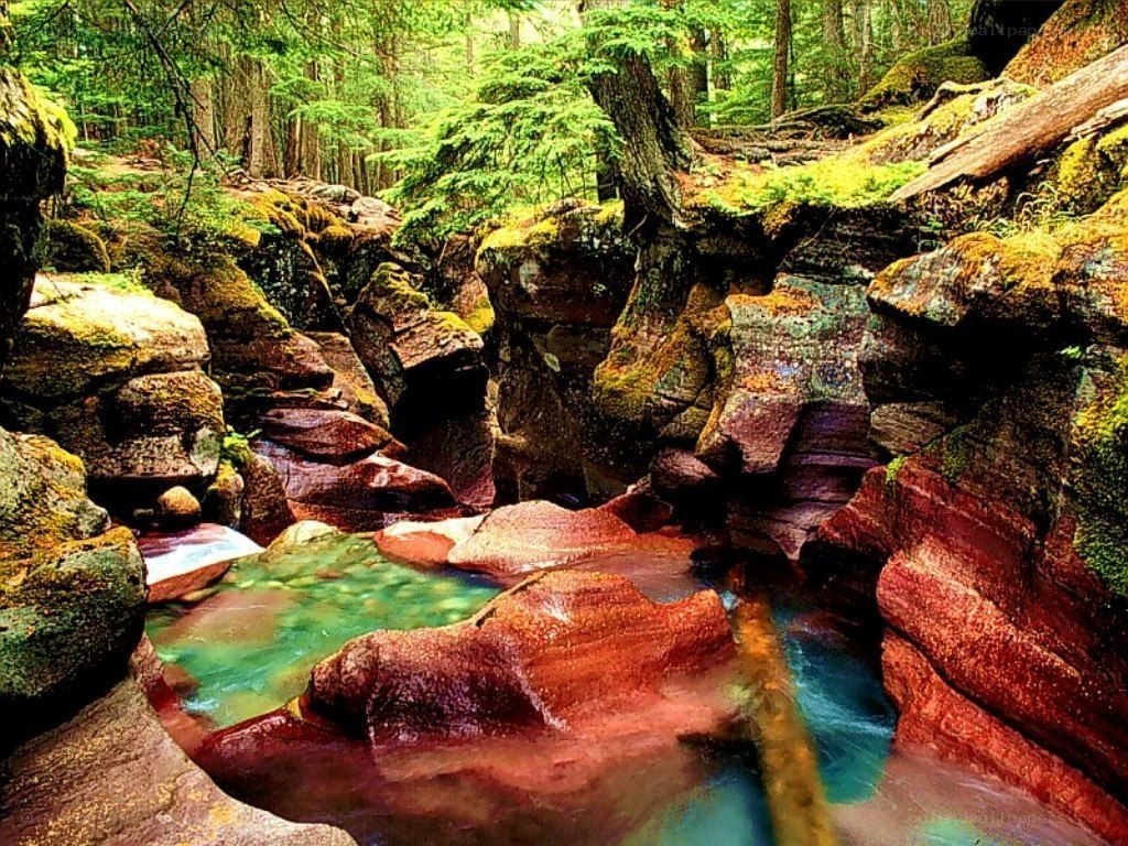 colorful river in forest canyon