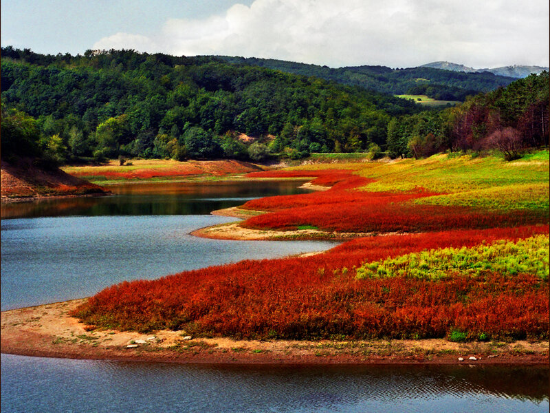 Colorful river landscape
