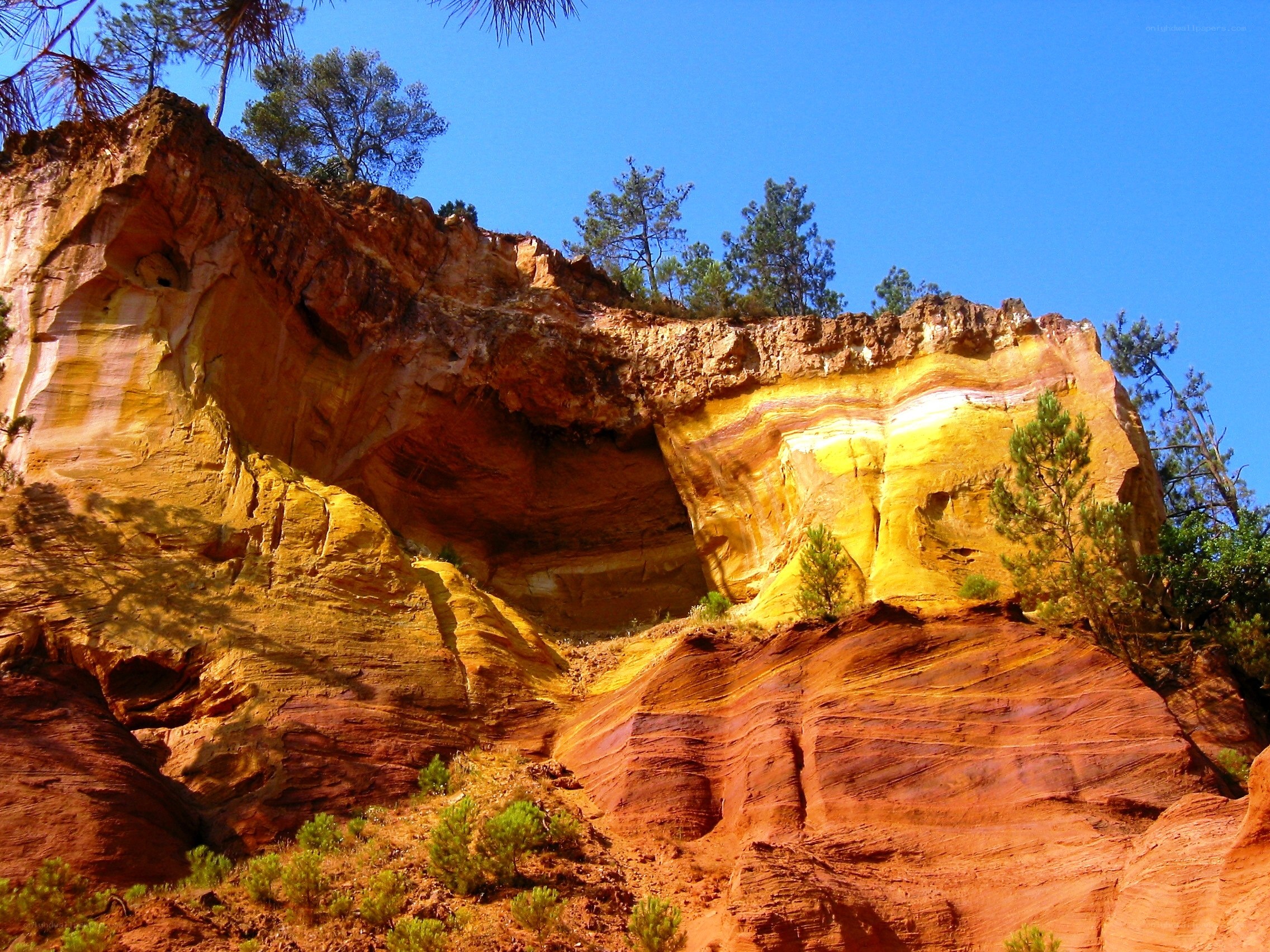 Colorful rock formations with trees