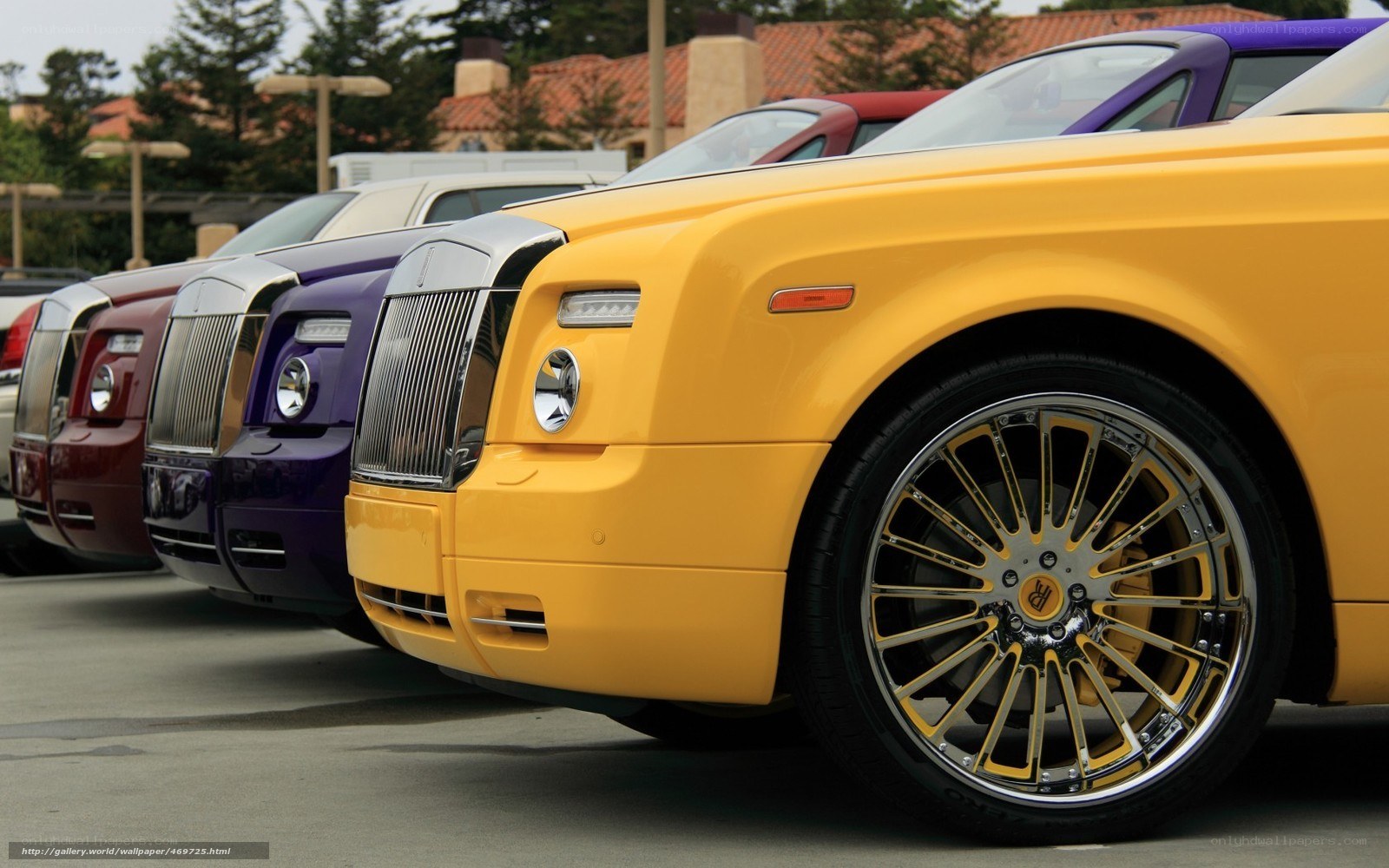 Colorful Rolls-Royce lineup