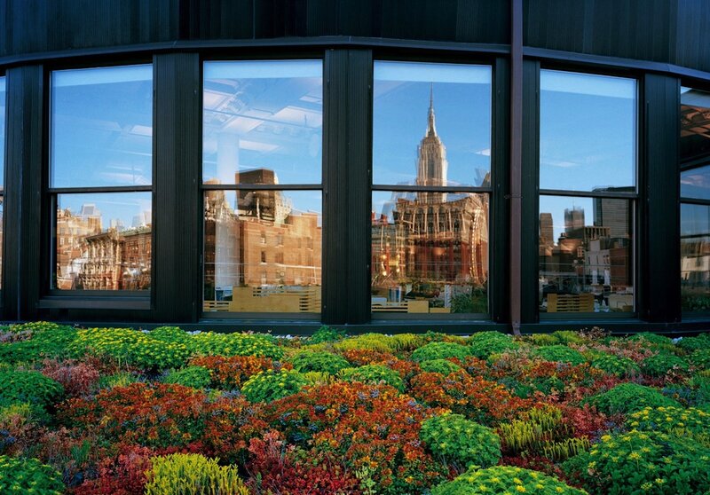 Colorful Rooftop Garden