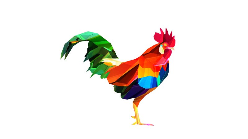 Colorful Rooster Illustration — Green