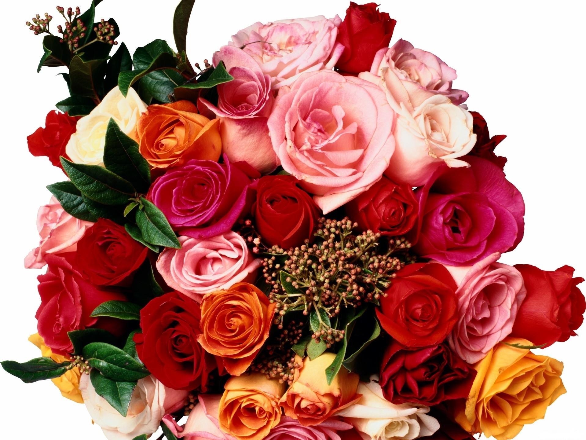 Colorful rose bouquet