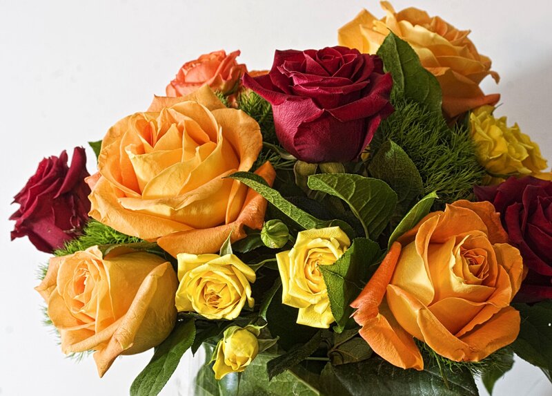 Colorful rose bouquet
