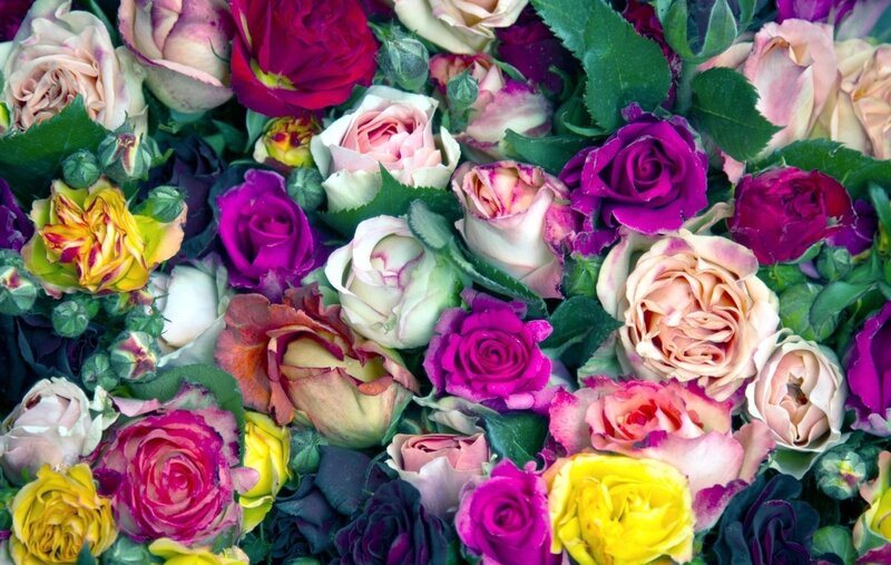 Colorful rose bouquet