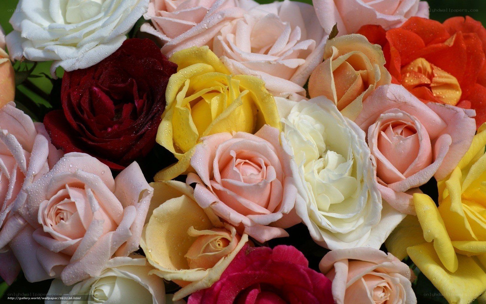 Colorful rose bouquet