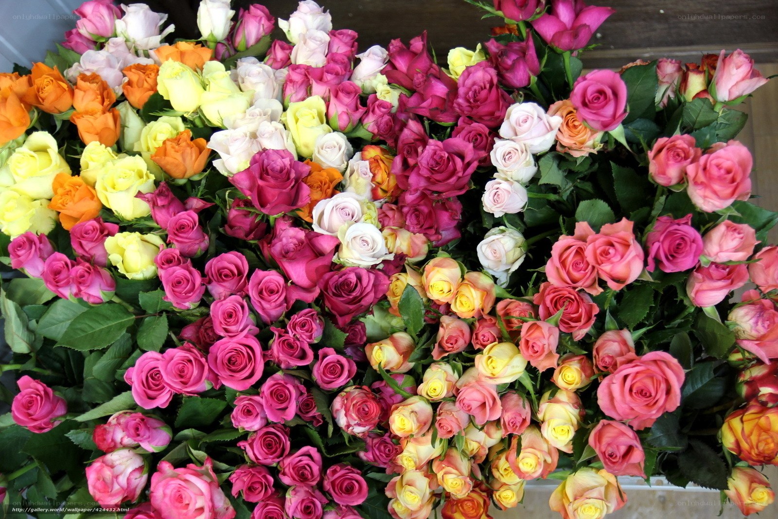 Colorful rose bouquet