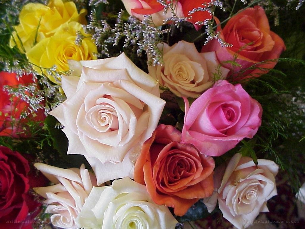Colorful rose bouquet