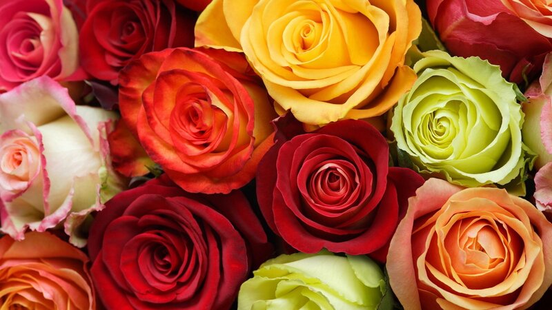 Colorful rose bouquet