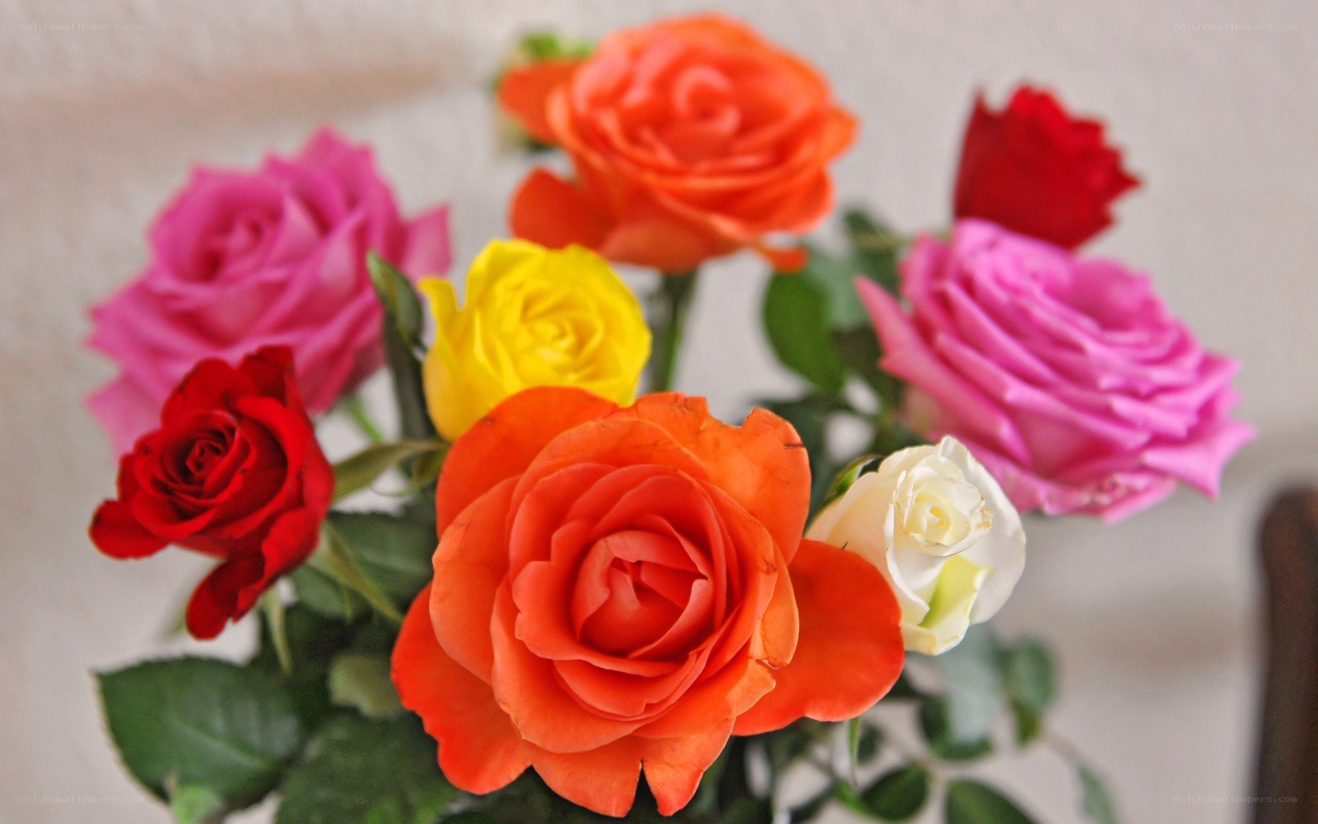colorful rose bouquet