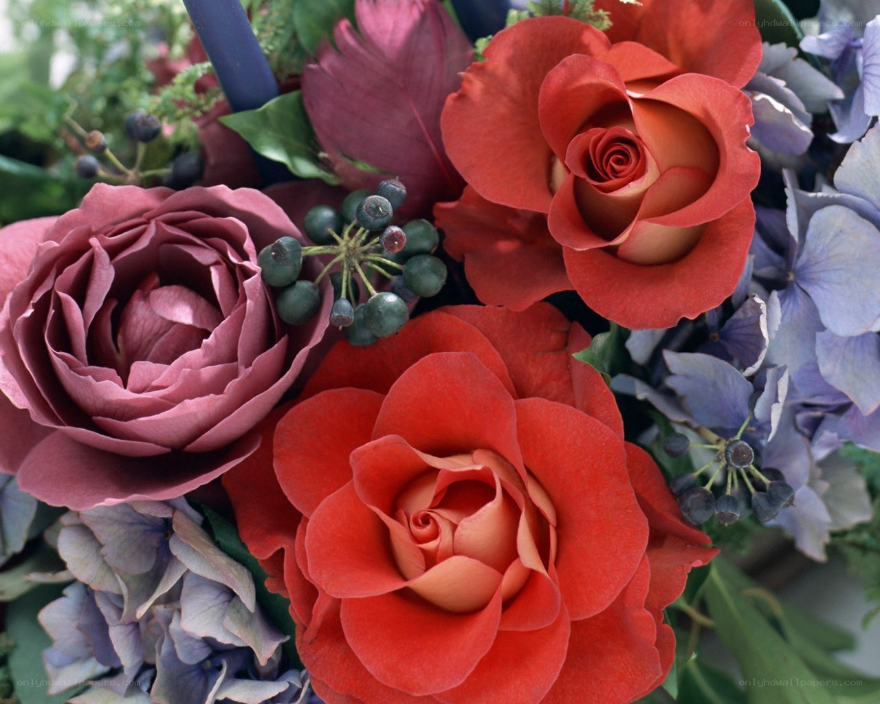 Colorful rose bouquet