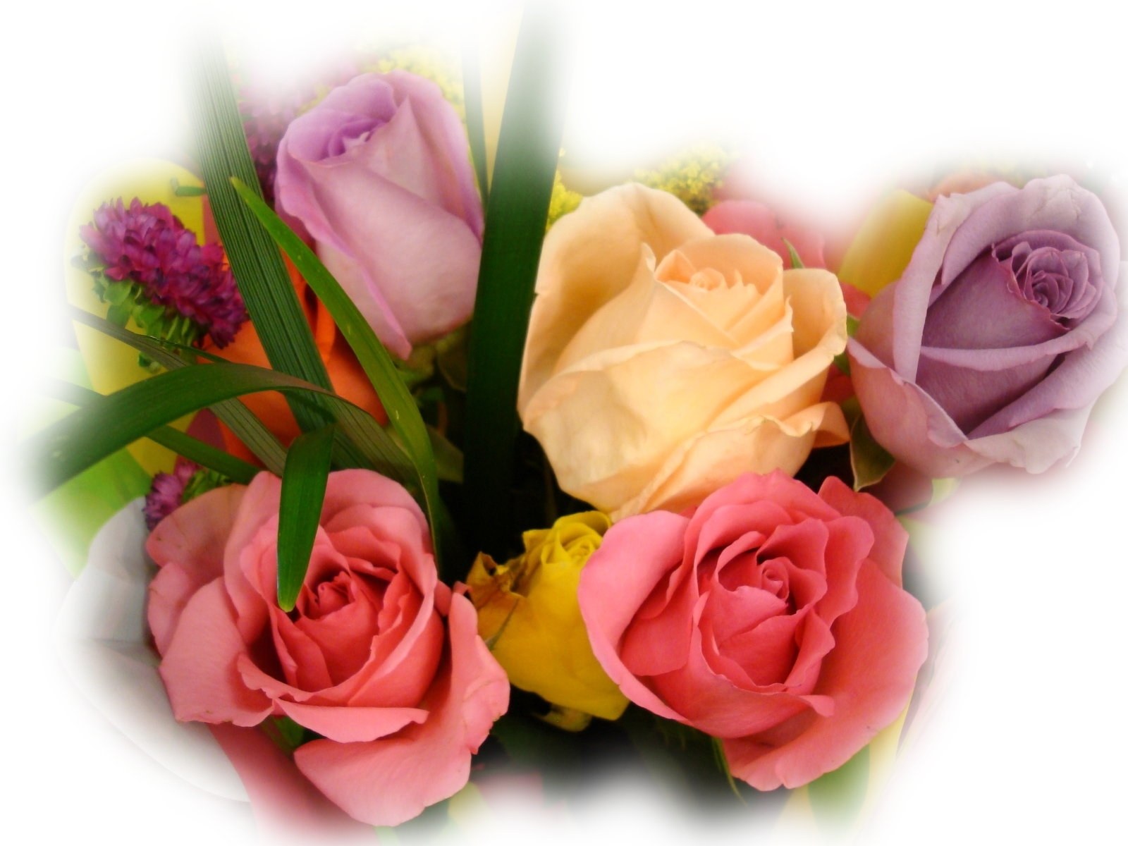 Colorful rose bouquet