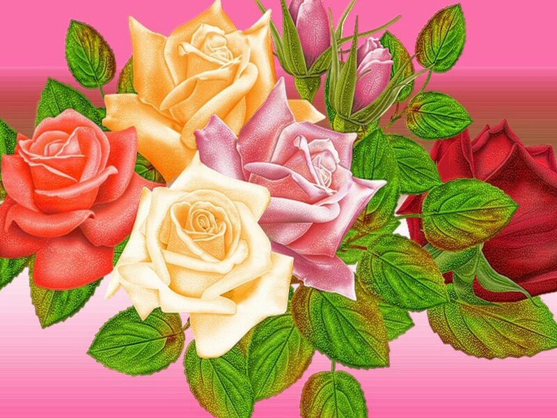 colorful rose bouquet